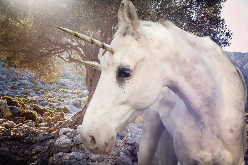 unicorn don't bring up negatives in your job interview